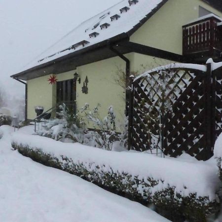 Fewo-Schmidt-Im-Erzgebirge Gelenau Екстериор снимка